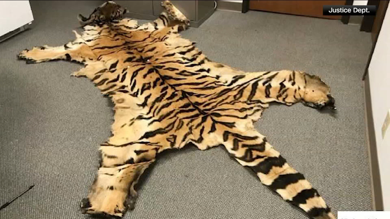 California couple pleads guilty to trafficking wildlife
       — Collegeville Community news